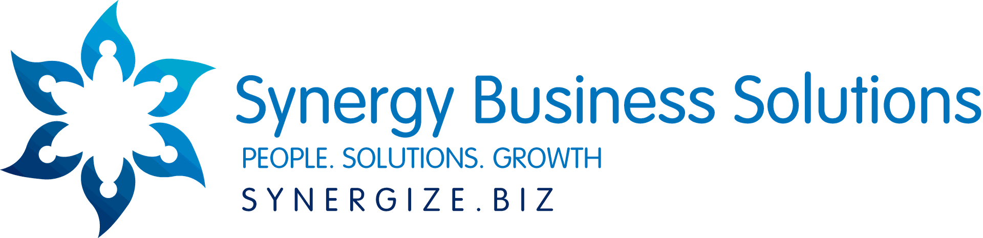 Synergy Business Solutions v2